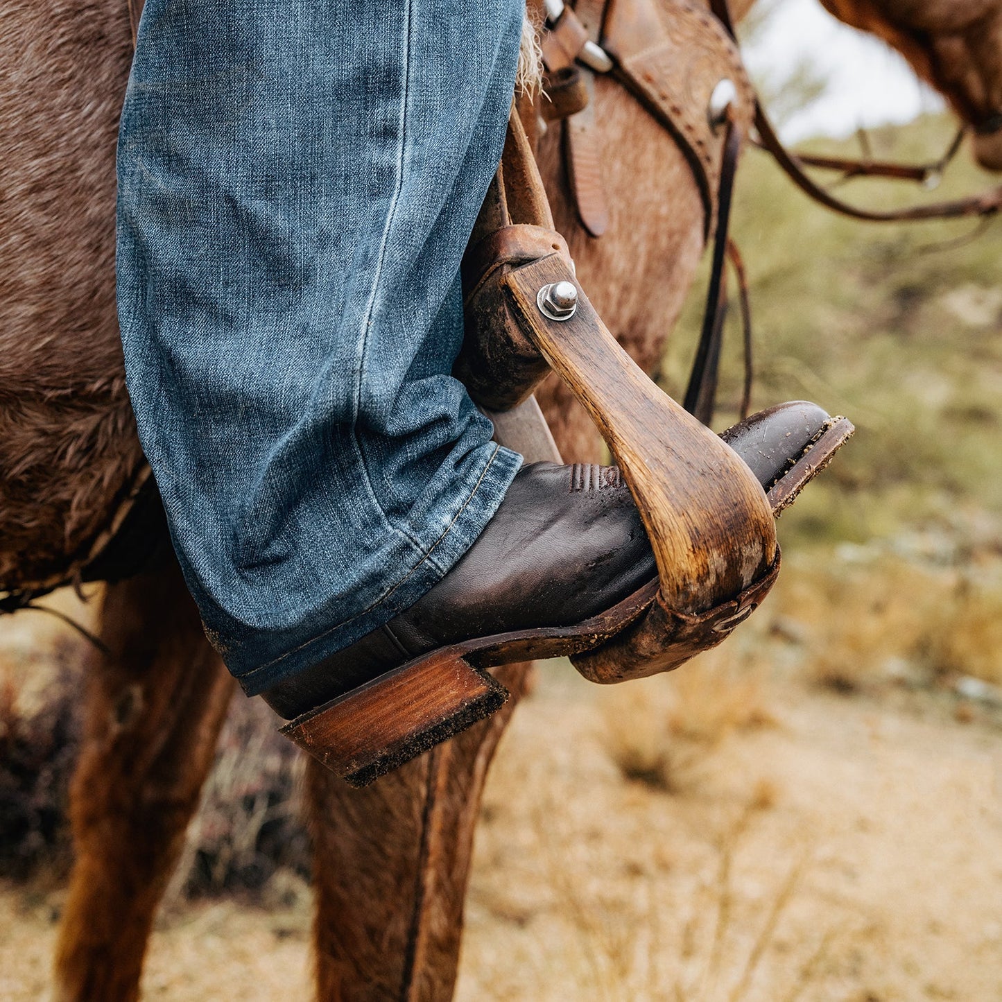 Carlisle Western Boots Men
