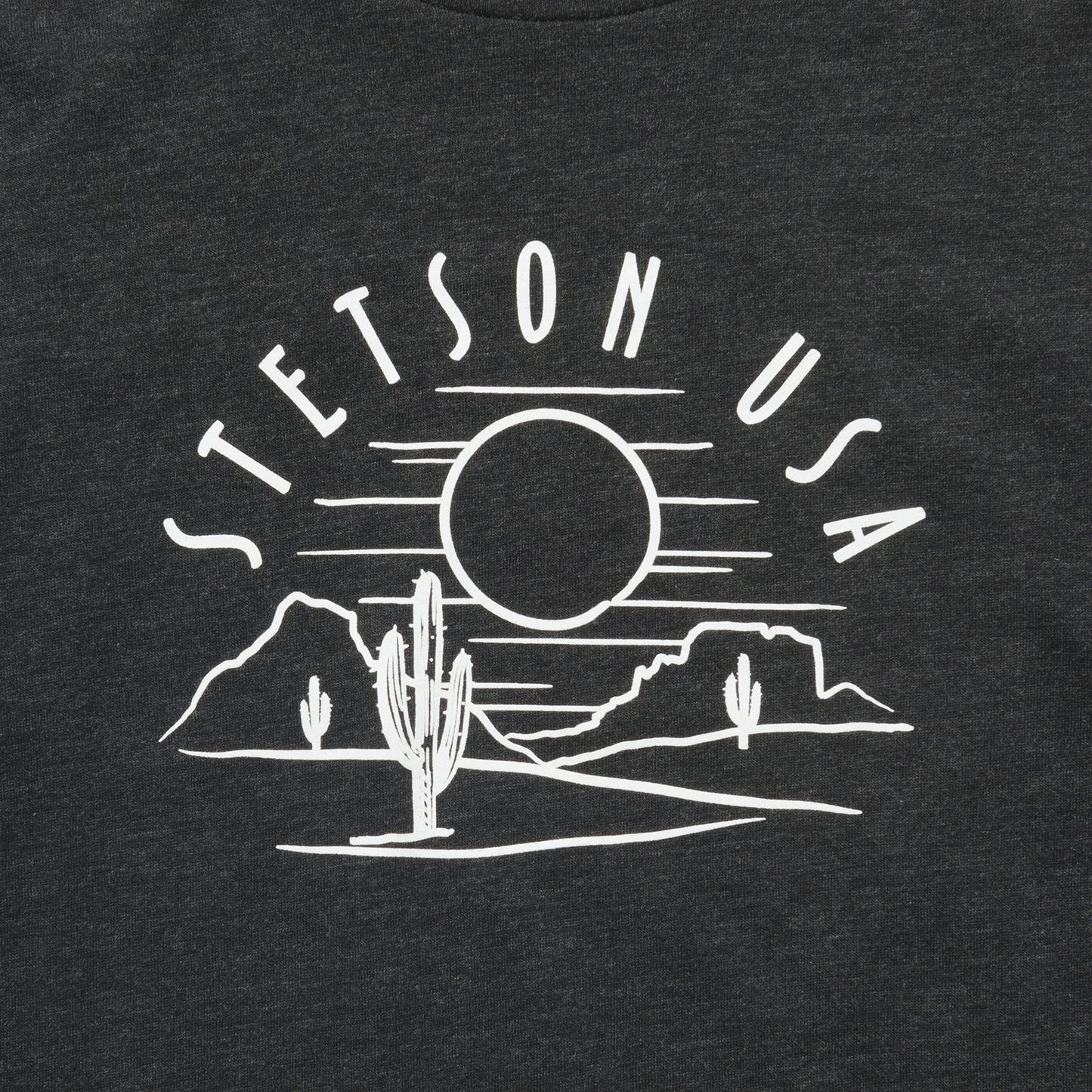 Cactus And Sunset Graphic Tee Women