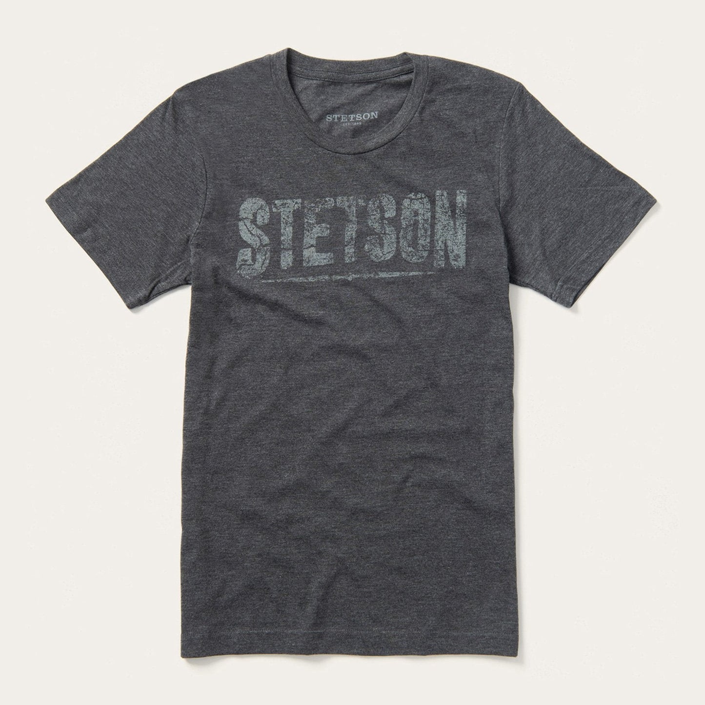 Distressed Graphic Tee Men