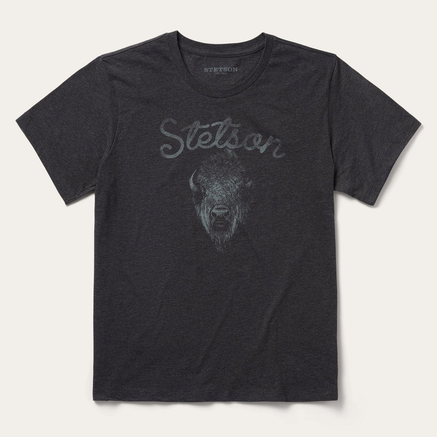 Bison Spirit Graphic Tee Men