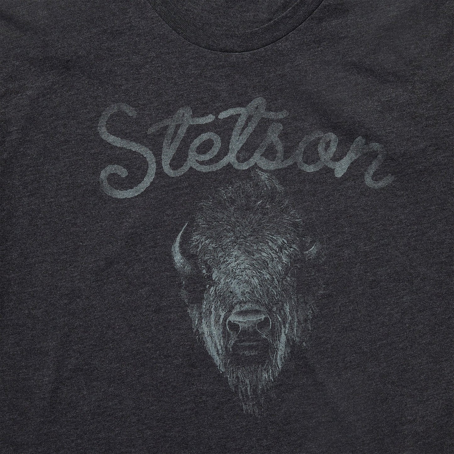 Bison Spirit Graphic Tee Men