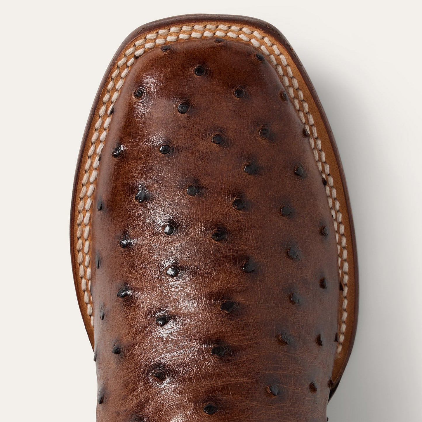 Ozzy Ostrich Boot Men