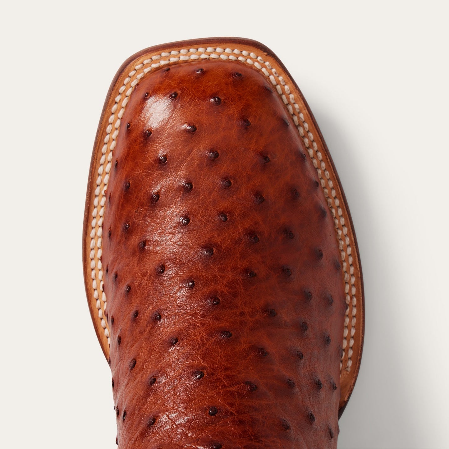 Ozzy Ostrich Boot Men
