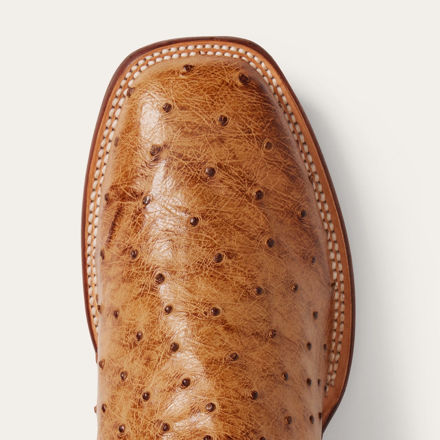 Ozzy Ostrich Boot Men