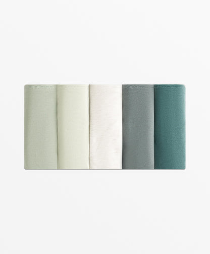 5 cotton blend classic briefs