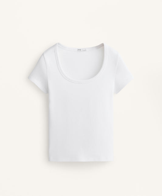 Cotton and modal rib T-shirt with round neck
