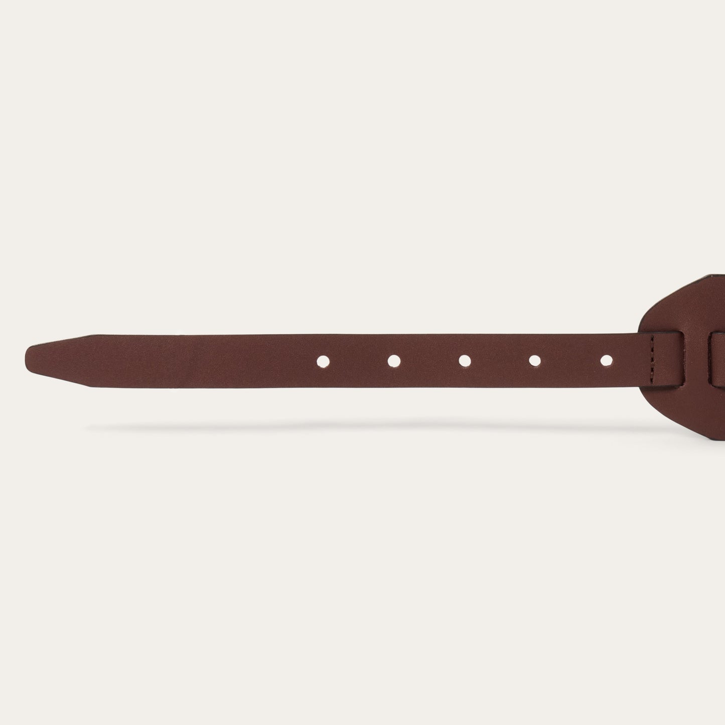 Southwestern Concho Wide Belt Brown Women