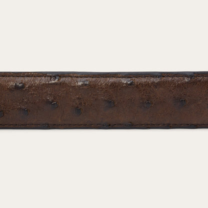 Ostrich Tapered Belt Mocha Brown Men