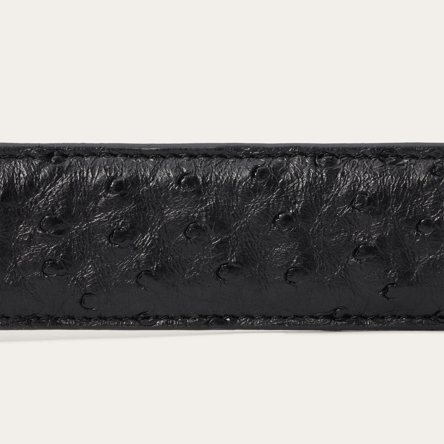 Ostrich Western Tab Belt Black Men