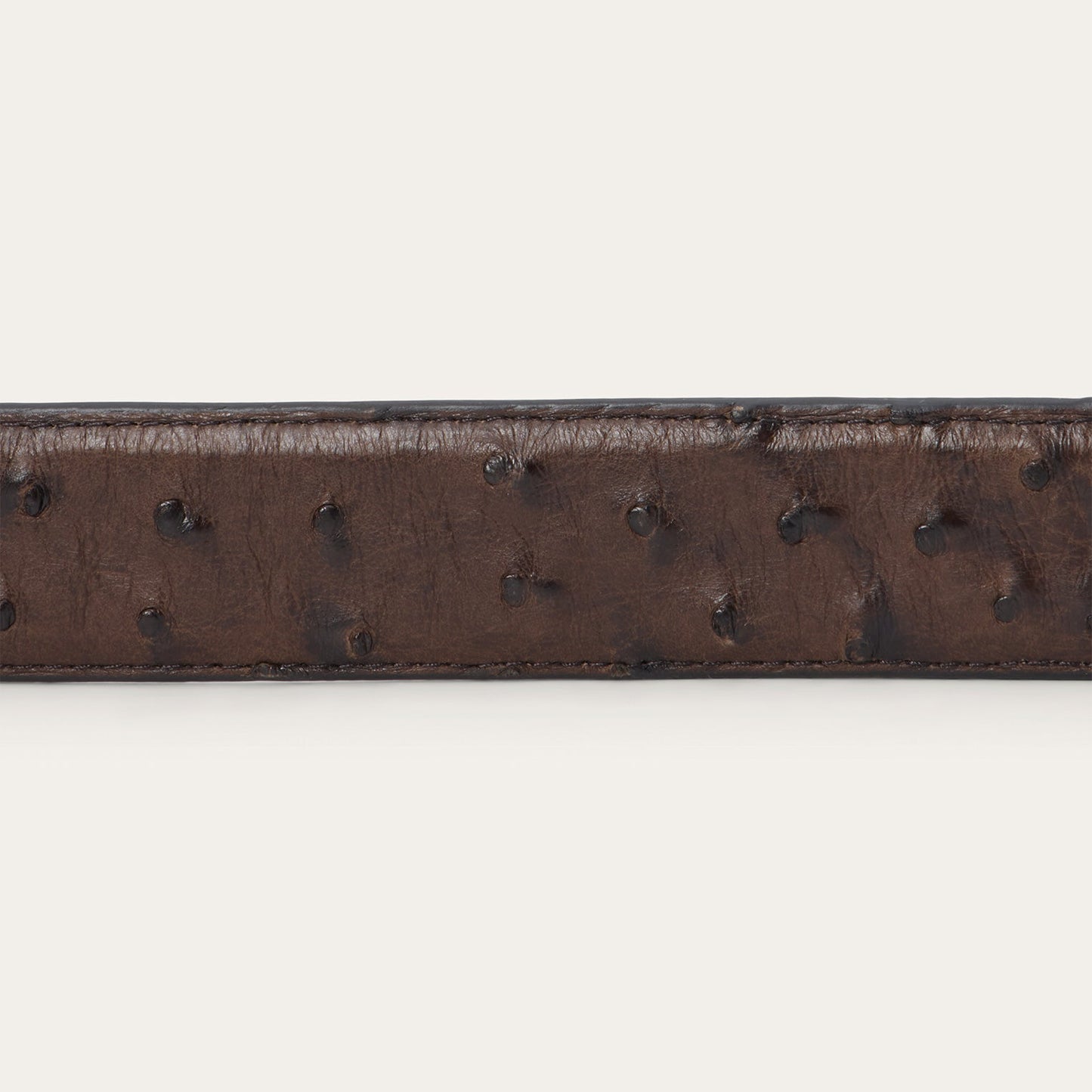 Ostrich Western Tab Belt Mocha Brown Men