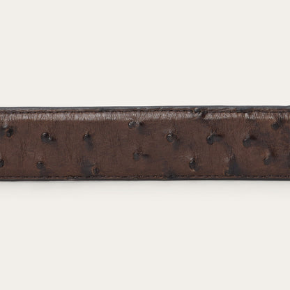Ostrich Western Tab Belt Mocha Brown Men