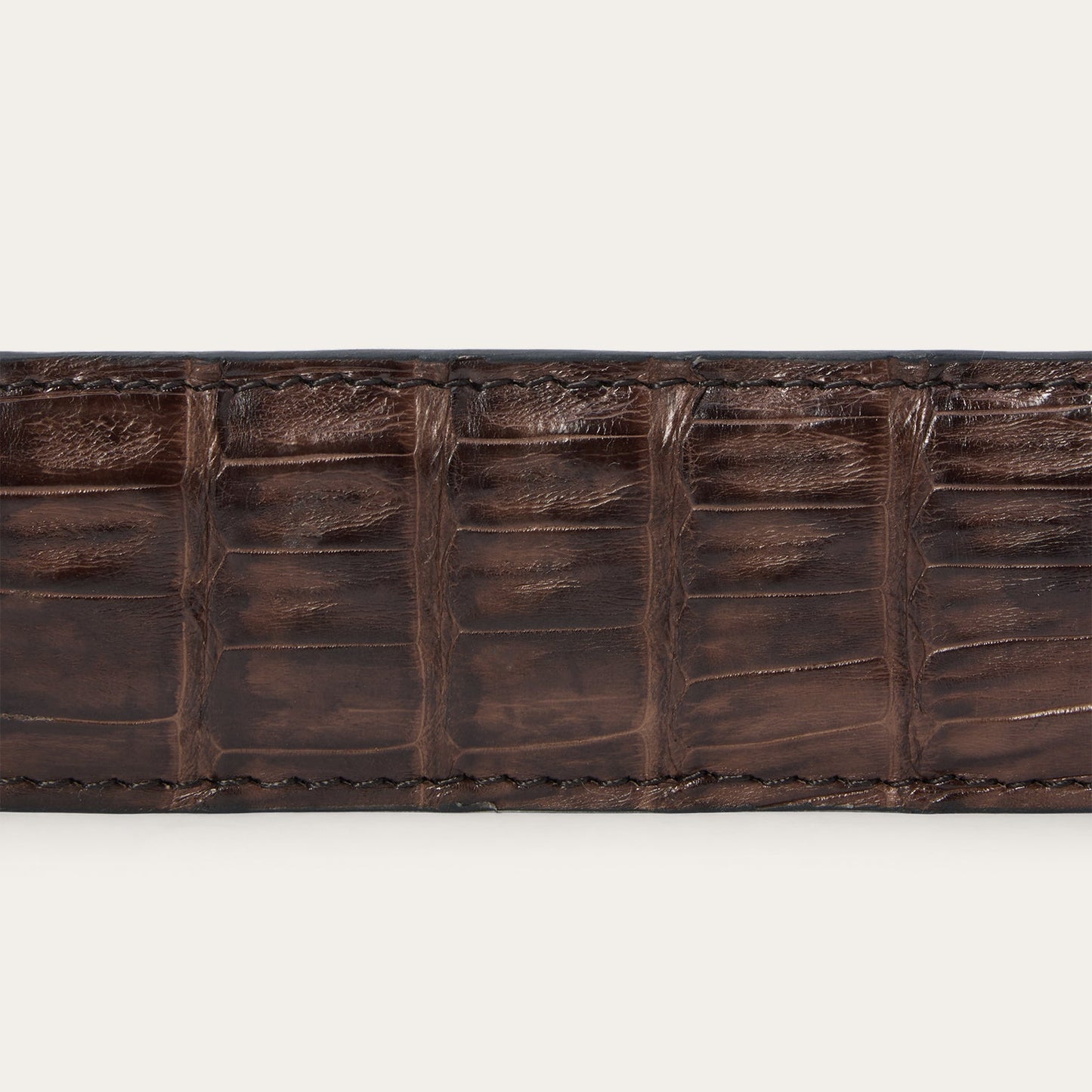 Caiman Western Tab Belt Cigar Classic Men