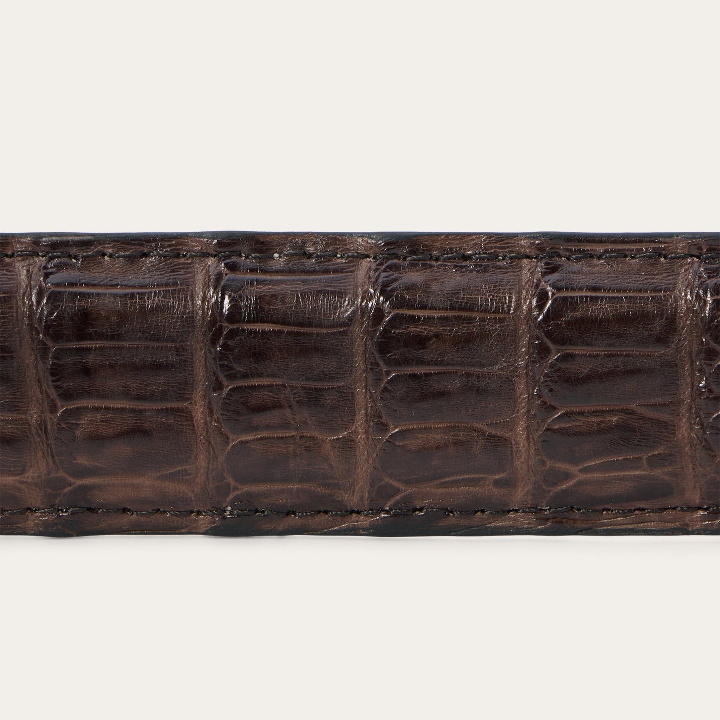 Caiman Western Tab Belt 1 1/4 Width Cigar Classic Men