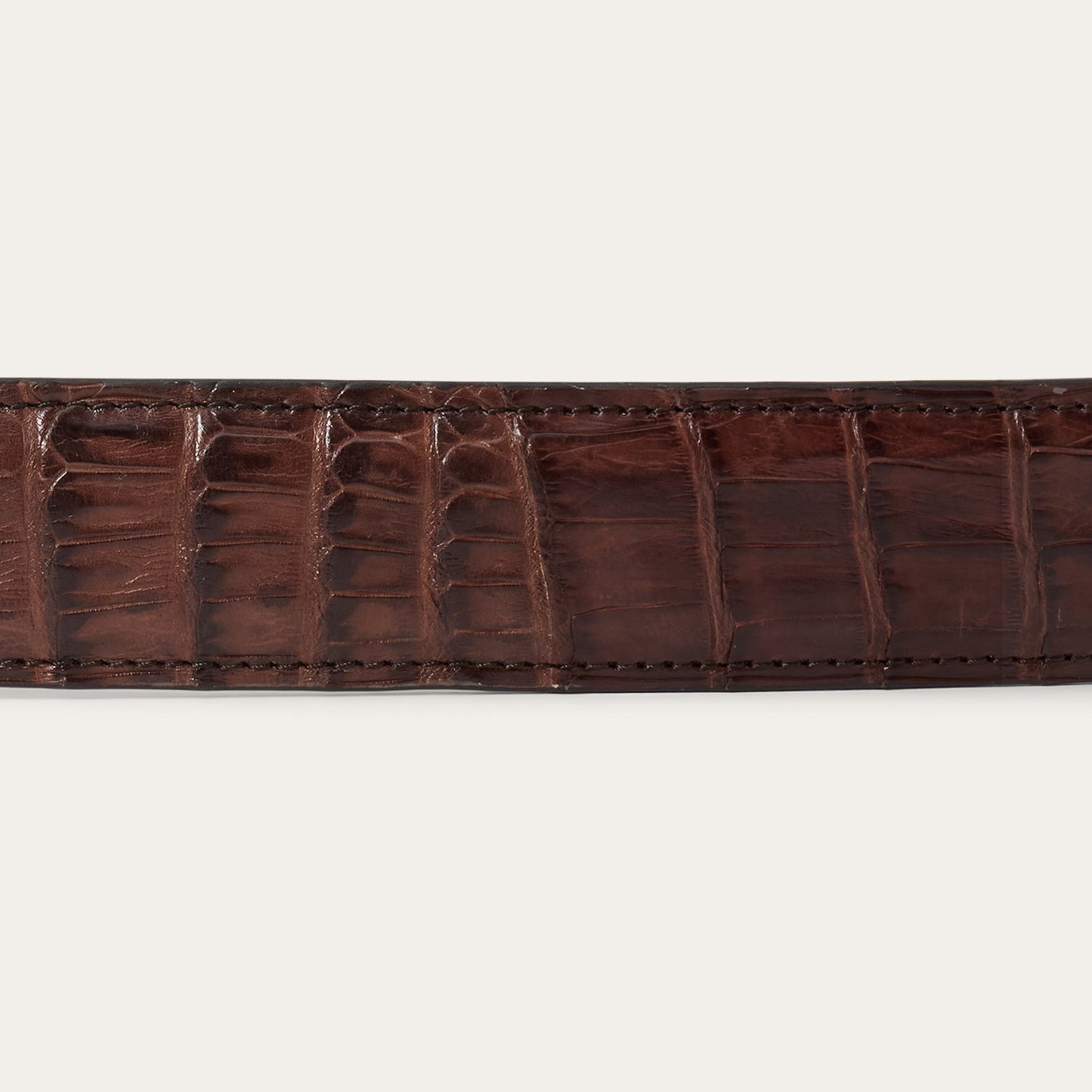 Caiman Tapered Belt Cigar Classic Men