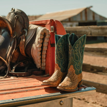 Ozzy Ostrich Boot Men